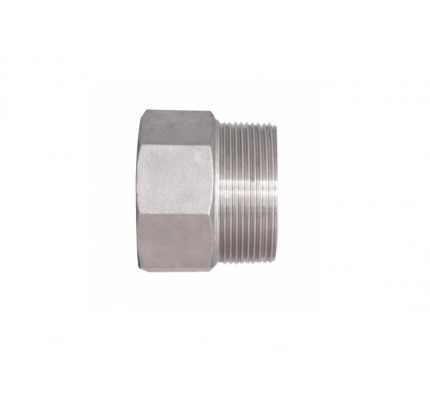 1/8" 1/4" 1/2" NPT BSP Female-Male 304 Stainless Elbow Connector Fitting 200 Bar 
