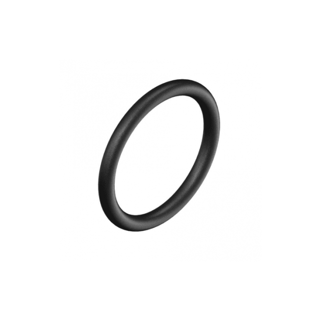 O-Ring DIN 11853 FPM